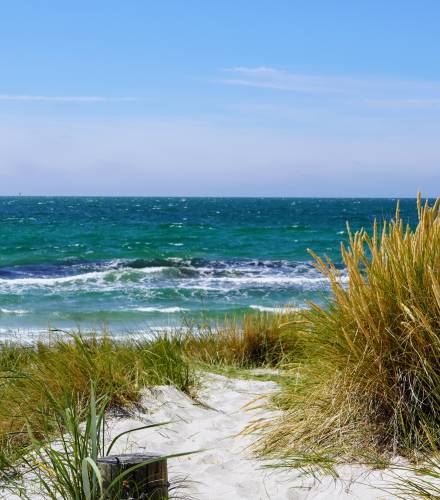 Ostseestrand mit Strandhafer im Sommer